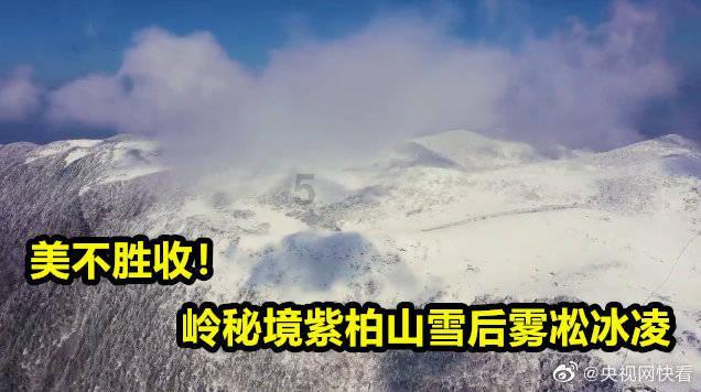 贷款逾期了 会影响到信用卡的使用吗